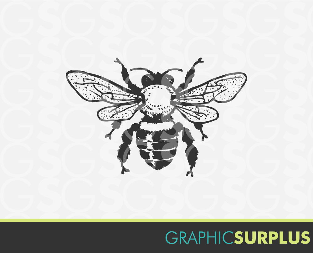 1000x809 Instant Download Vintage Clip Art Honey Bee Line Art Clipart