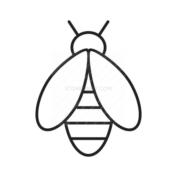 600x600 Bee Line Icon