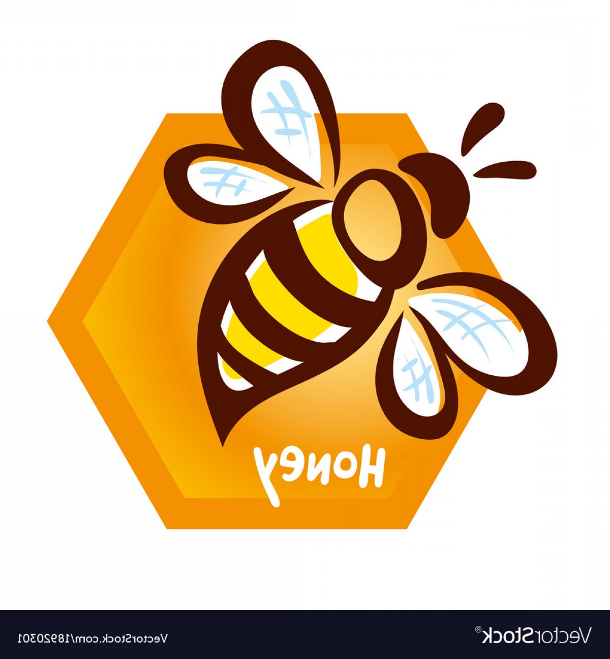 1200x1296 Honeycomb Vector Logo Hoodamath