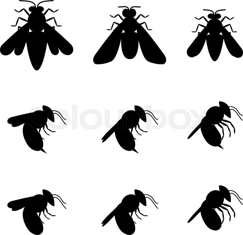 800x775 Bee Icons In Silhouette, Top And Side Stock Vector Colourbox