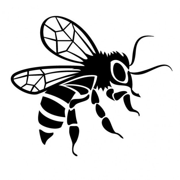 626x626 Black Bee Drawing Vector Image Drawings Bee Drawing, Bee