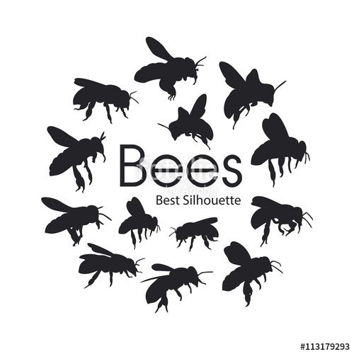 500x500 Download The Royalty Free Vector Bee Silhouette On The White