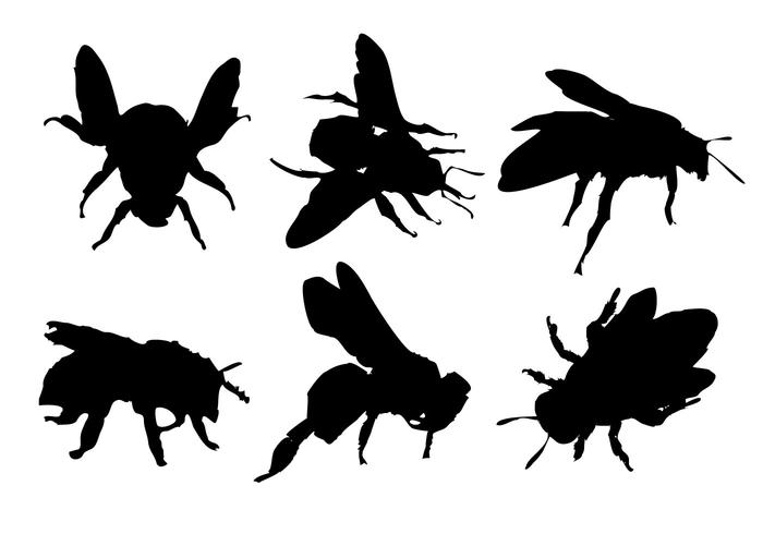 700x490 Free Bee Silhouette Vector