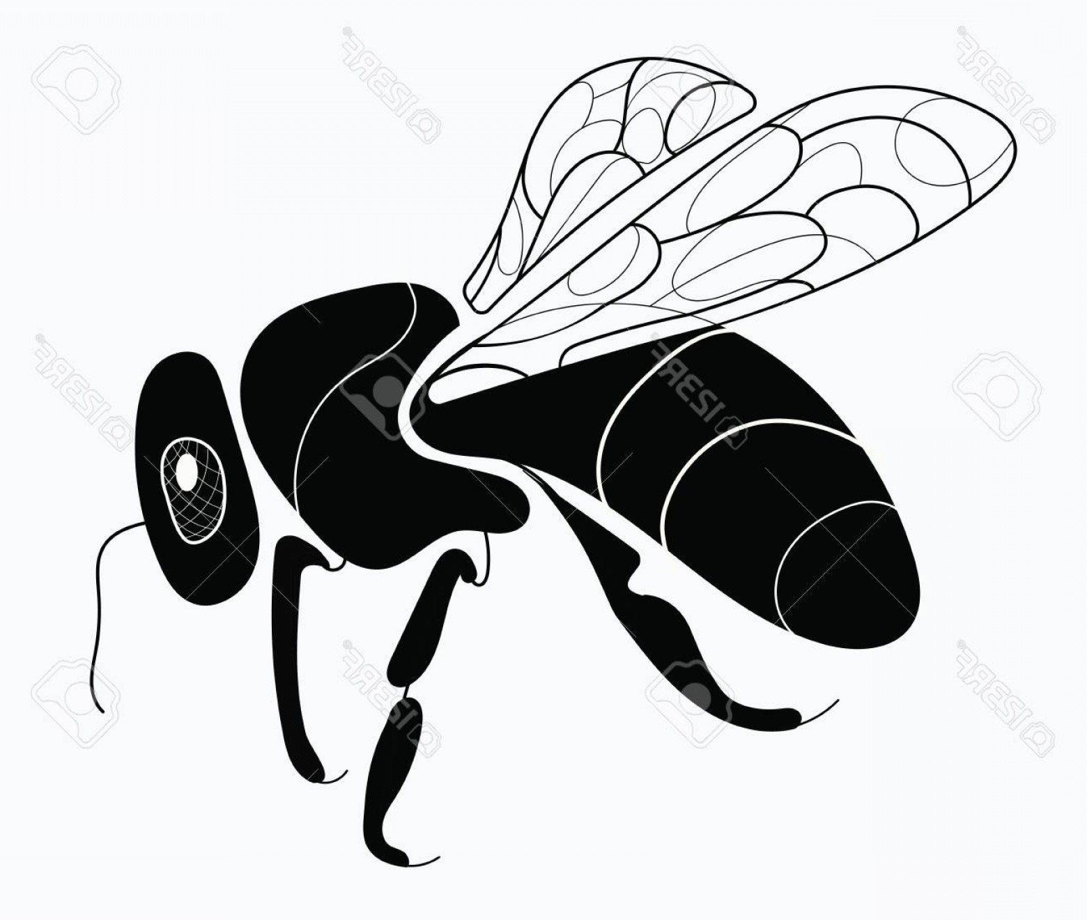 1560x1320 Photostock Vector Vector Stylized Honeybee Logo With A Black
