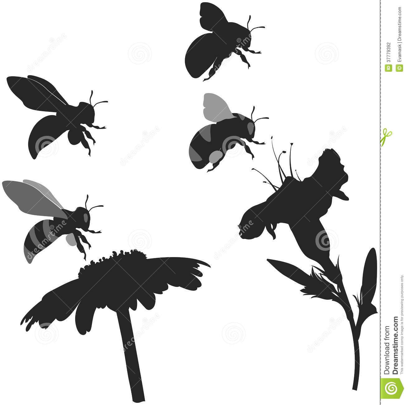 1309x1300 Silhouettes Bee And Bumblebee