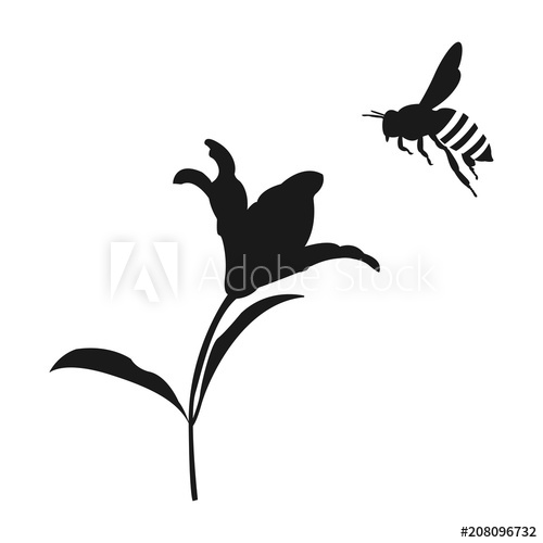 500x500 Flying Honey Bee Silhouette Flower And Honey Bee Vector Icon