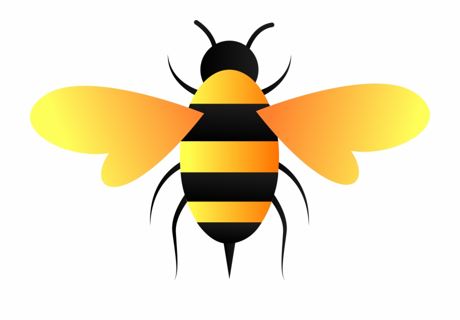 920x639 Bee Vector With Transparent Background