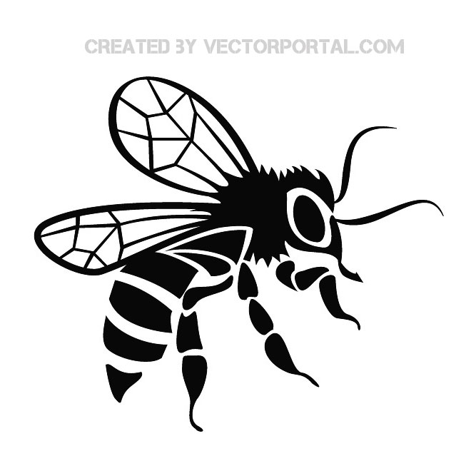 660x660 Bee Vector Graphics