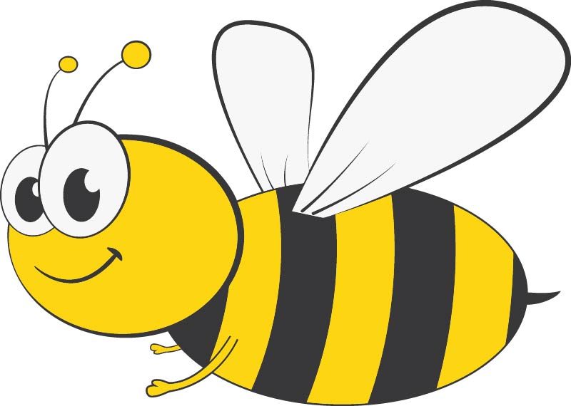 800x570 Myvect Free Cartoon Bee Vector