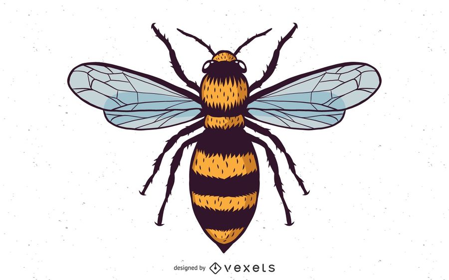 900x562 Vector Honey Bee