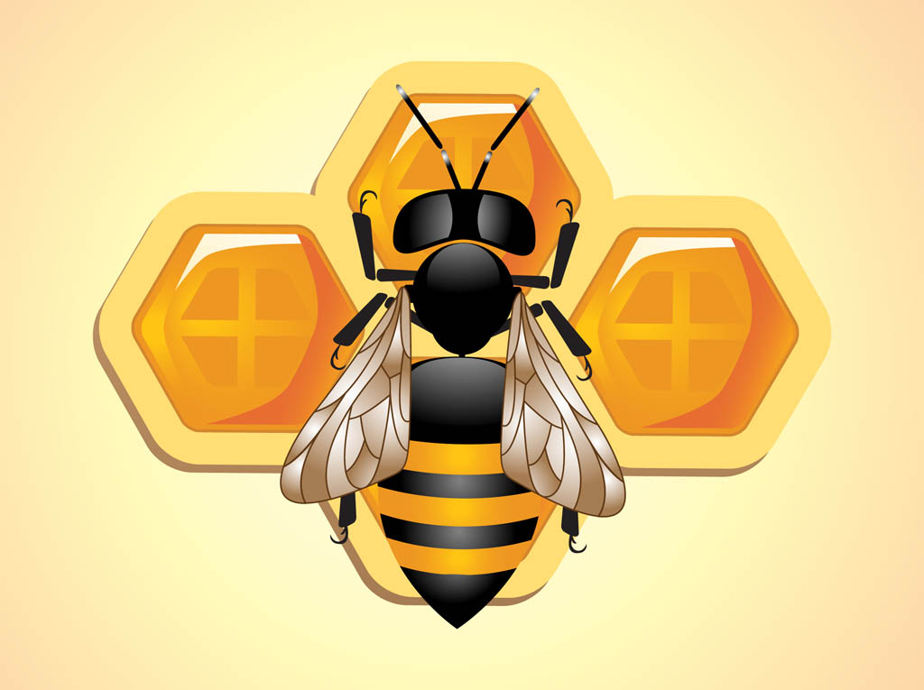 1024x765 Bee Vector Vector Art Graphics