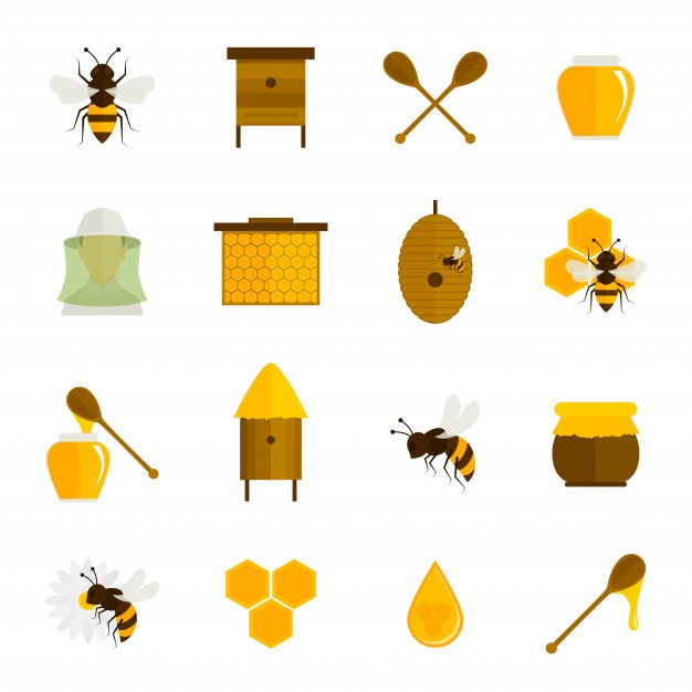 626x626 Bee Vectors, Photos And Free Download