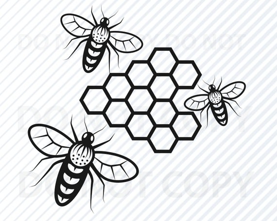 570x456 Honey Bee Bee Vector Image Silhouette Clip Art Etsy
