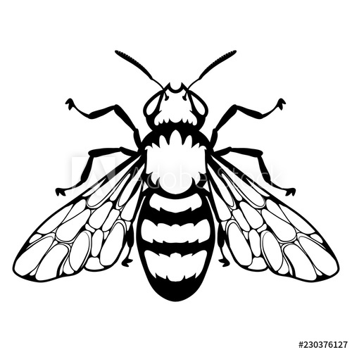500x500 Bee Logo, Honey Bee On White Background, Hand Drawn Sketch Of Bee