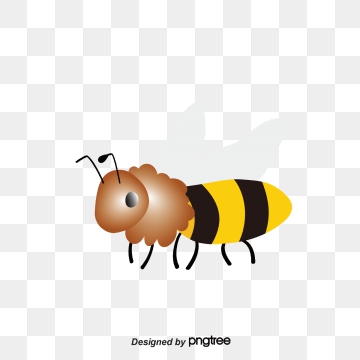 360x360 Bee Vector, Graphic Resources For Free Download