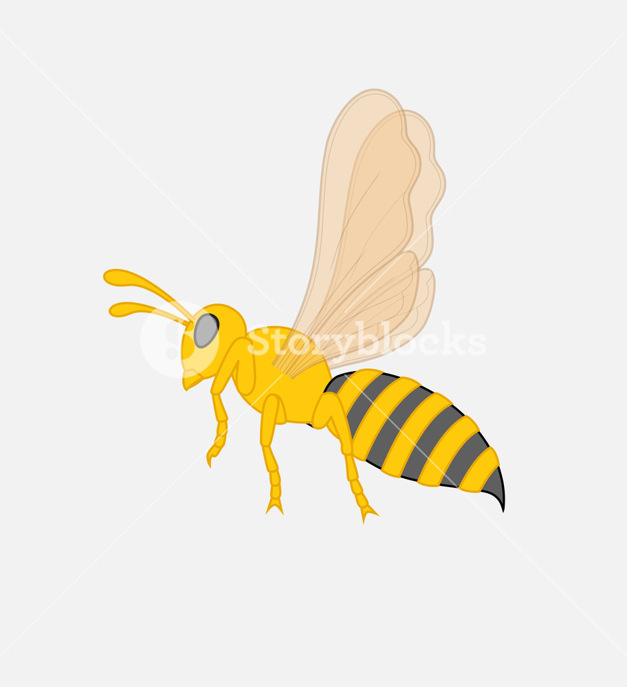 912x1000 Bee Vector Illustration Royalty Free Stock Image
