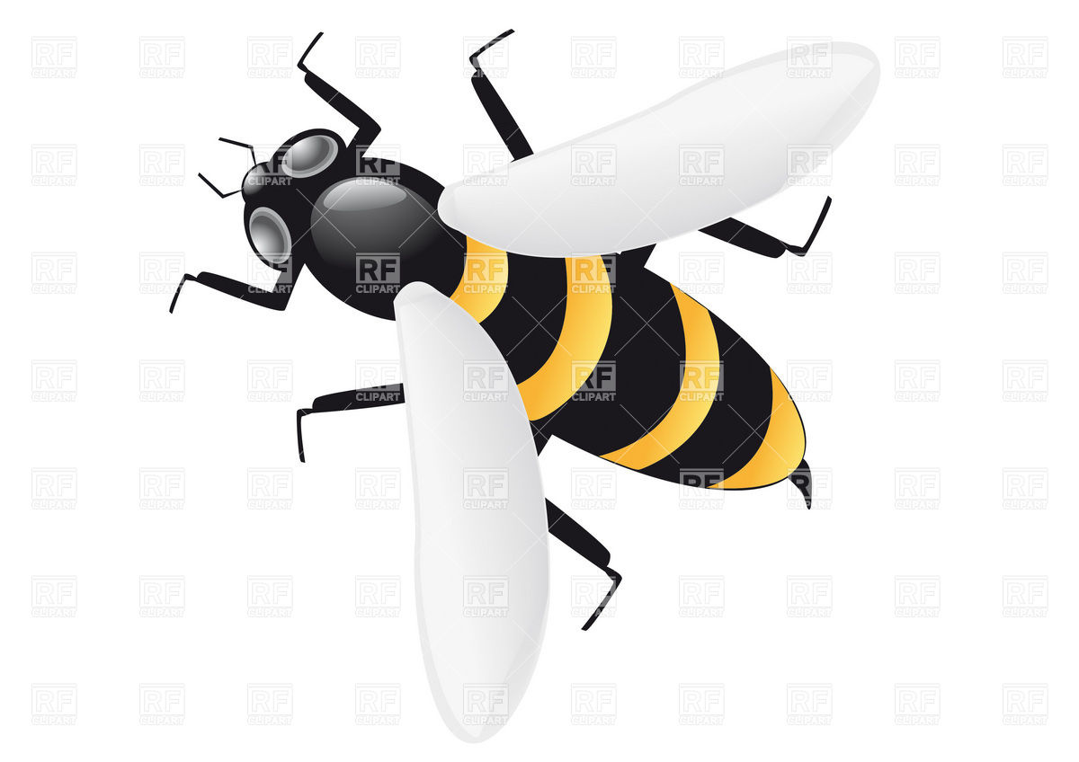 1200x848 Bee Vector Image Of Plants And Animals Konturvid