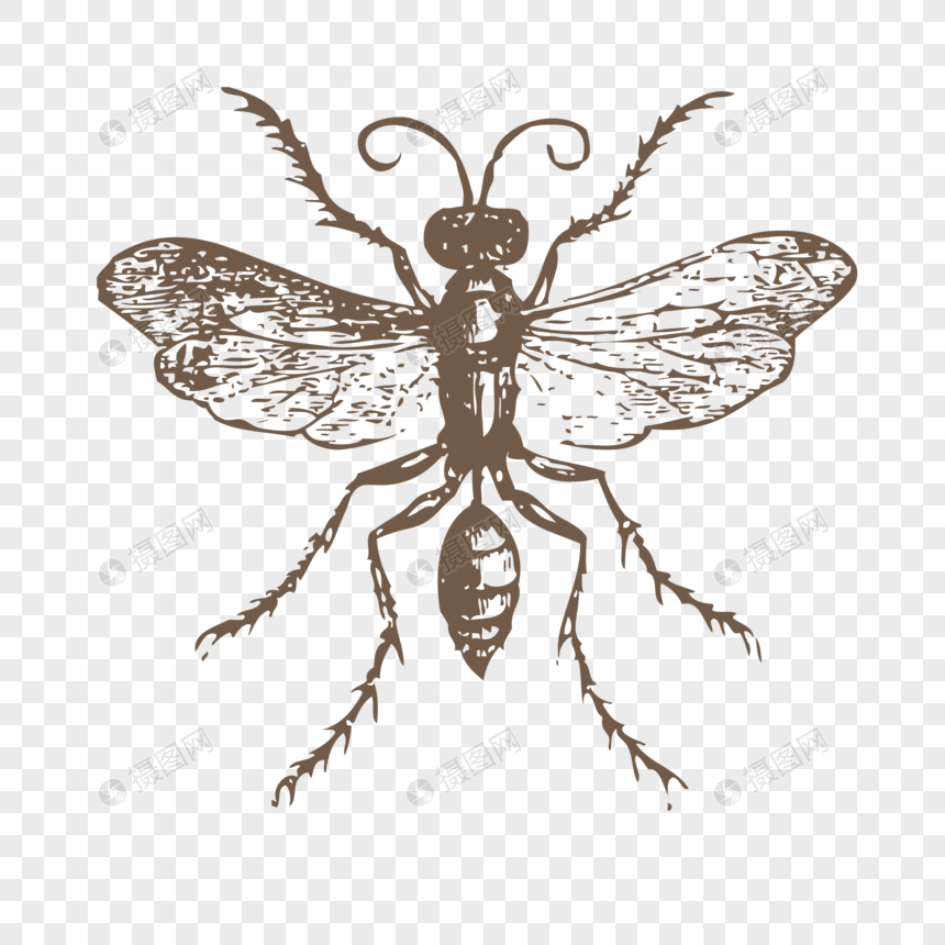 860x860 Bee Vector Png Image Picture Free Download