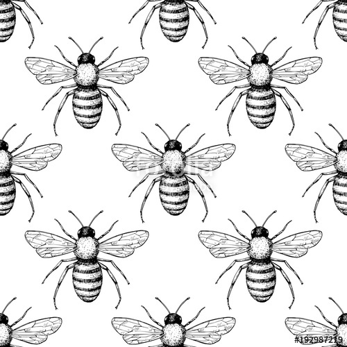 500x500 Bee Vector Seamless Pattern Hand Drawn Insect Background Stock