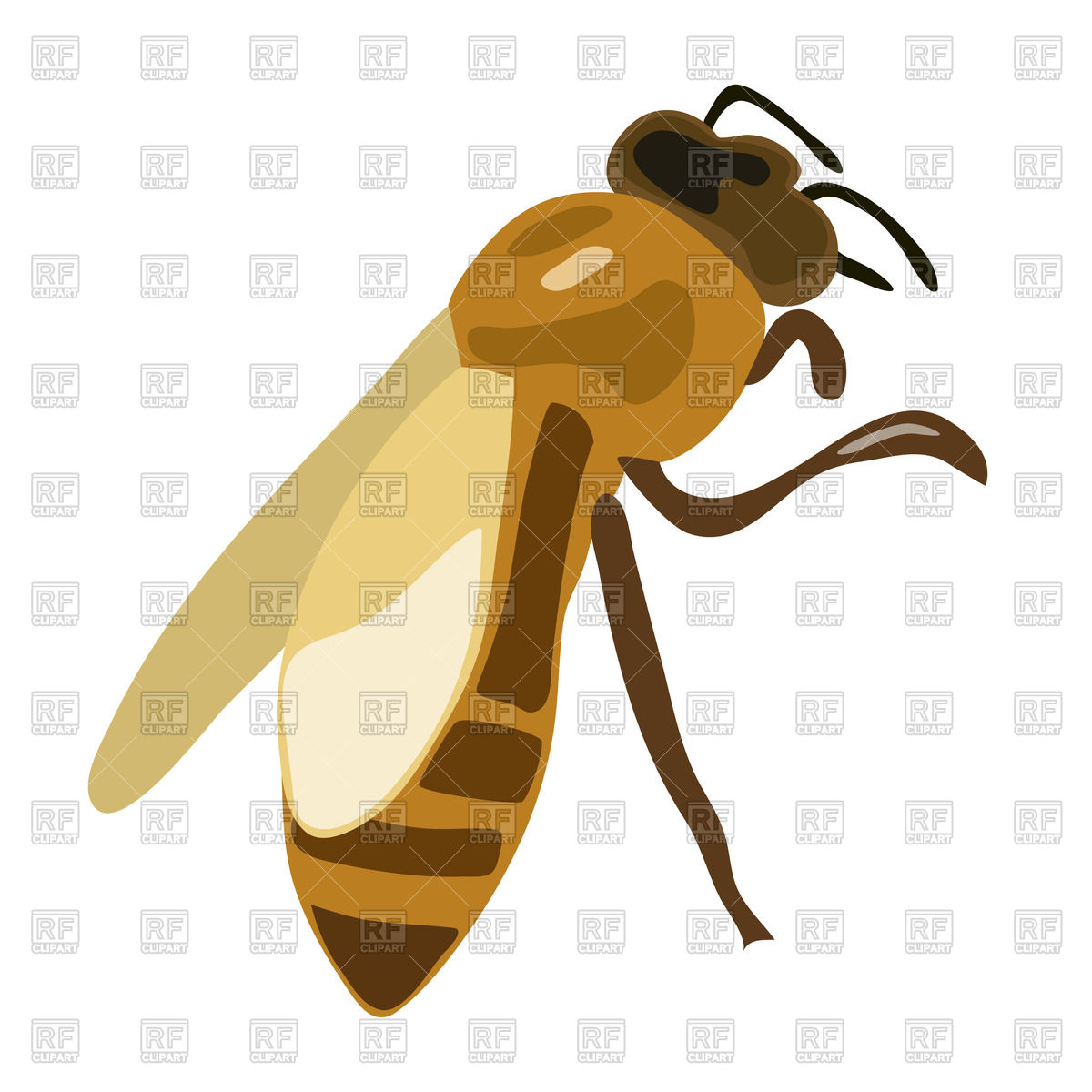 1200x1200 Big Brown Bee Vector Image Of Plants And Animals Olenadesign