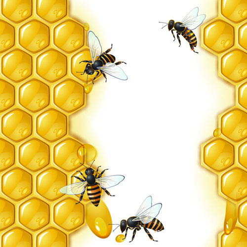 500x500 Realistic Honey And Bees Vector Graphics Free Vector