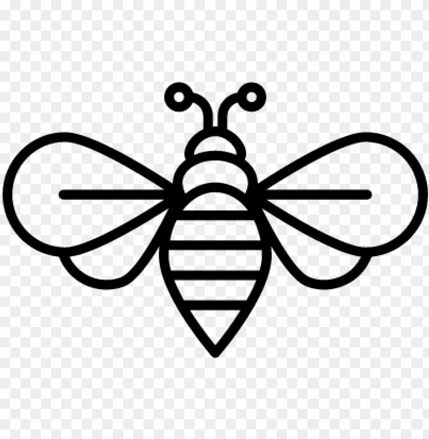 840x859 Bee Vector