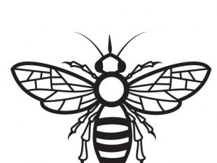 310x233 Bee Vector Drawing Free Vectors Ui Download