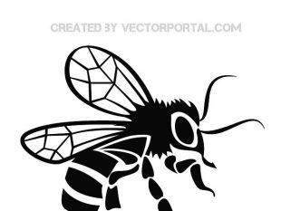 310x233 Bee Graphics Free Vector Free Vectors Ui Download