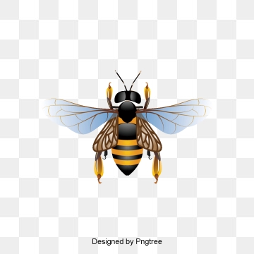 360x360 Bee Png Images, Download Bee Png Resources With Transparent