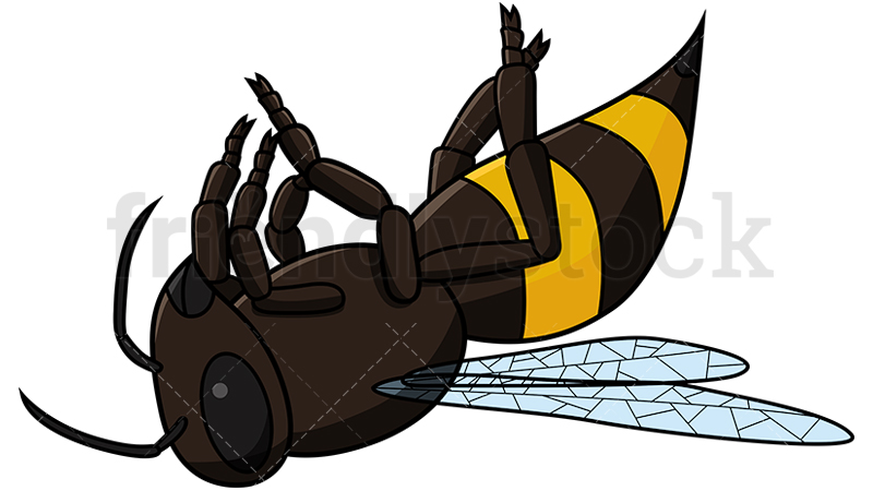 800x450 Dead Bee Vector Cartoon Clipart
