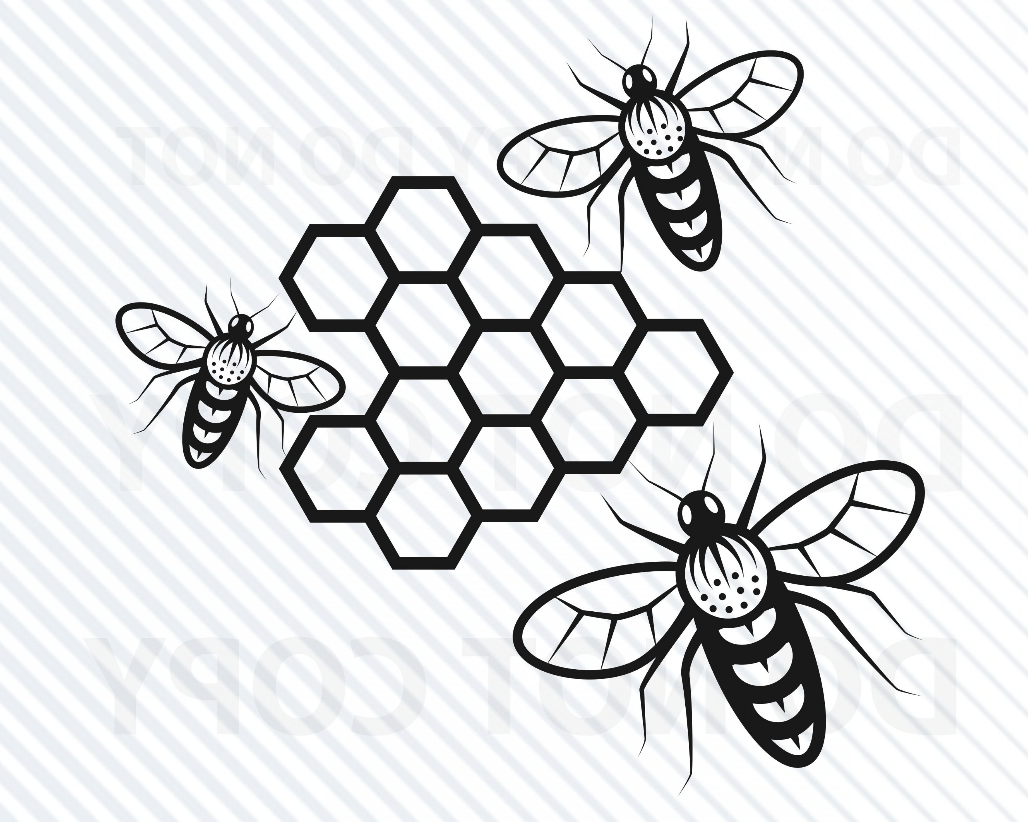 3600x2880 Honey Bee Bee Vector Image Hoodamathrun