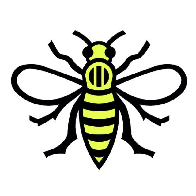 640x640 Manc Bee Fully Vectored