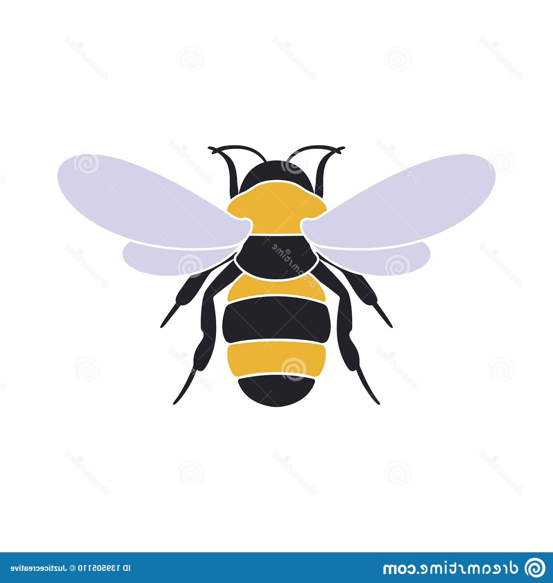 1920x2026 Bee Vector Engraving Illustration Honey Bee Bee Vector Engraving