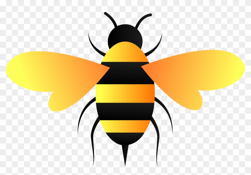 Bee Vector With Transparent Background 840x586 Bee Vector With Transparent Background