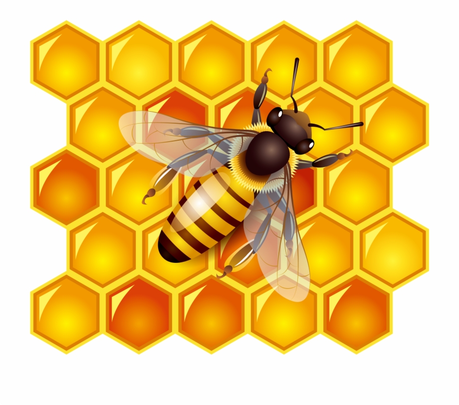 Bee Vector Png at Vectorified.com | Collection of Bee Vector Png free ...