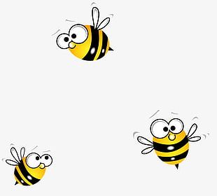 Bees Vector Png Images, Bees Vector Clipart Free Download 310x280 Bees Vector Png Images, Bees Vector Clipart Free Download
