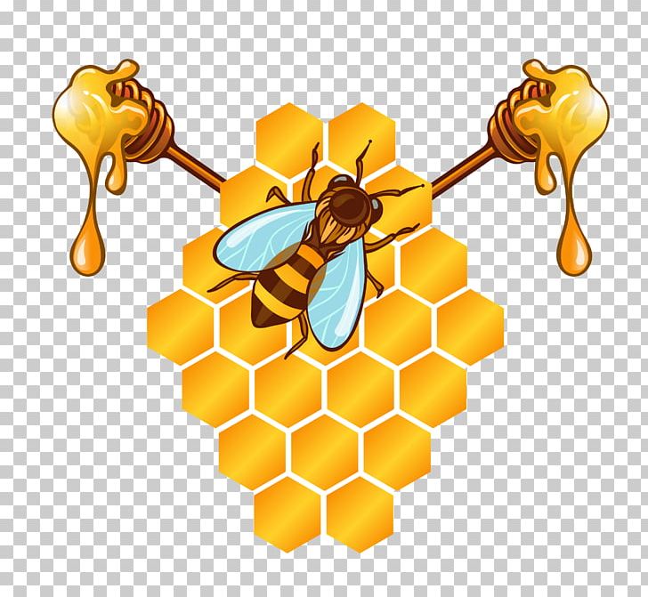 Honey Bee Honeycomb Png, Clipart, Bee, Bees, Bee Vector, Cartoon 728x671 Honey Bee Honeycomb Png, Clipart, Bee, Bees, Bee Vector, Cartoon