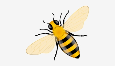 Bee Vector Png 400x230 Bee Vector Png