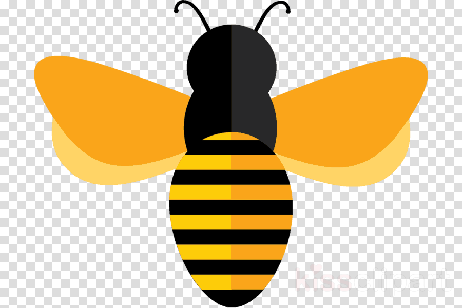 Bee Vector Png At Collection Of Bee Vector Png Free For Personal Use 3068