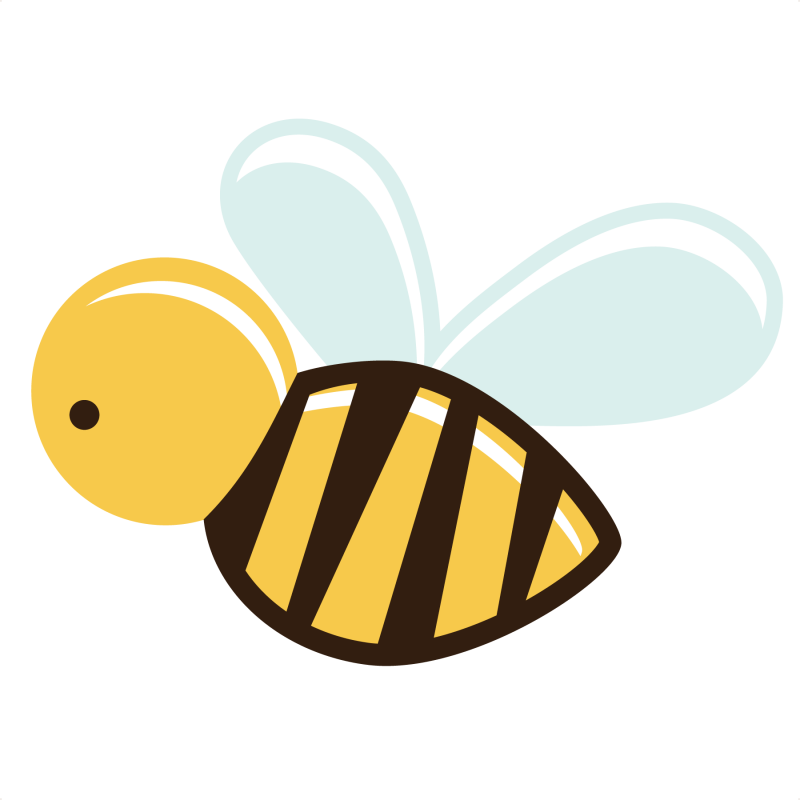 Bee Free Png Transparent Bee Images 800x800 Bee Free Png Transparent Bee Images