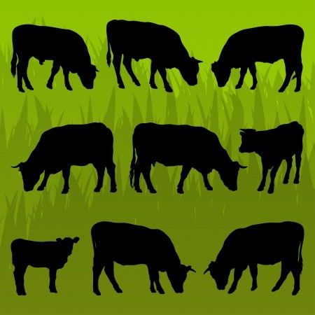 450x450 Beef Cattle Detailed Silhouettes Illustration Collection