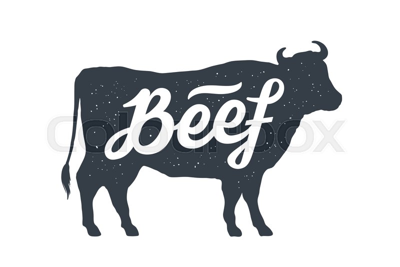 800x534 Cow, Bull, Beef Vintage Lettering, Stock Vector Colourbox