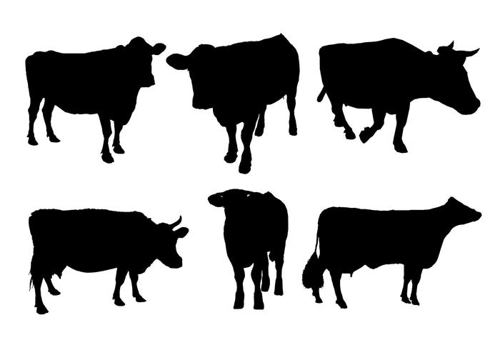 Beef Cow Silhouette Vector at Vectorified.com | Collection ...