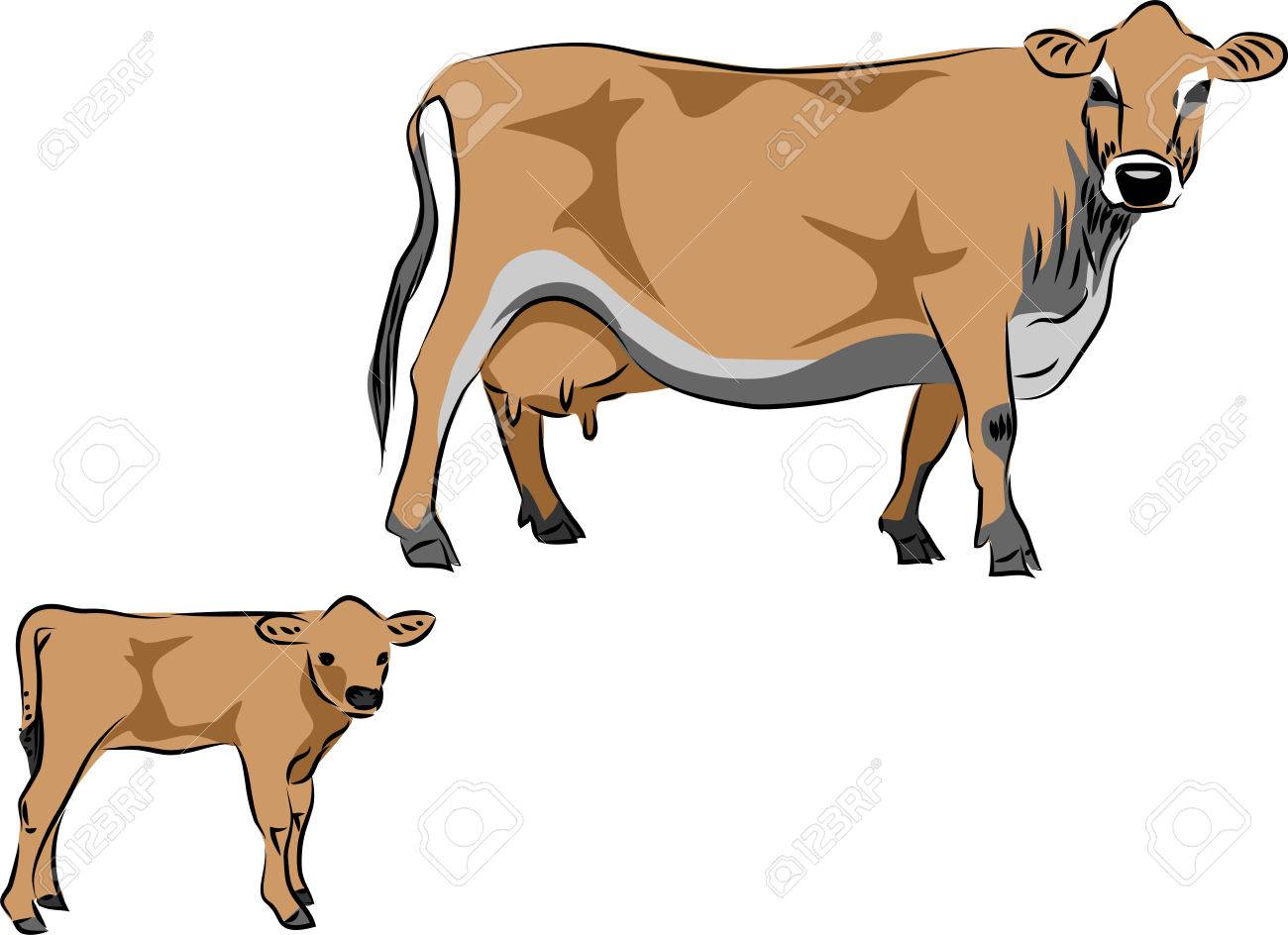 1300x944 Free Collection Of Beef Clipart Cow Jersey Download Transparent