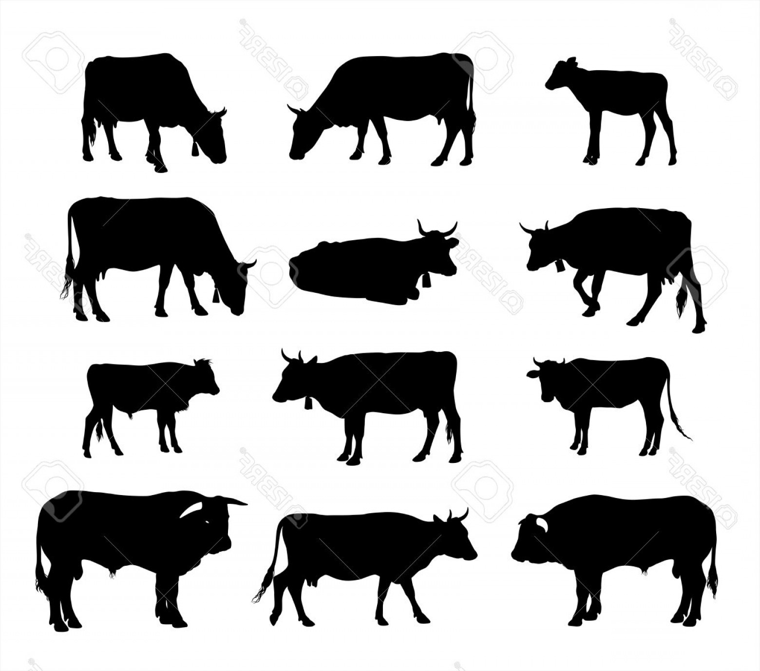 1560x1377 Photostock Vector Cow Silhouette Graphic Vector Silhouettes