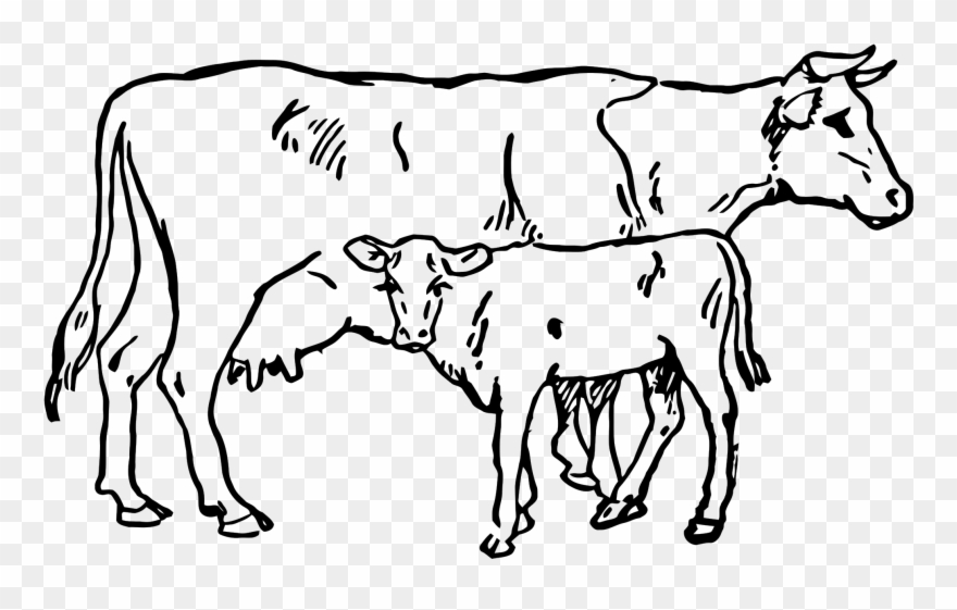 880x561 Beef Vector Cow Indian Clip Royalty Free Download