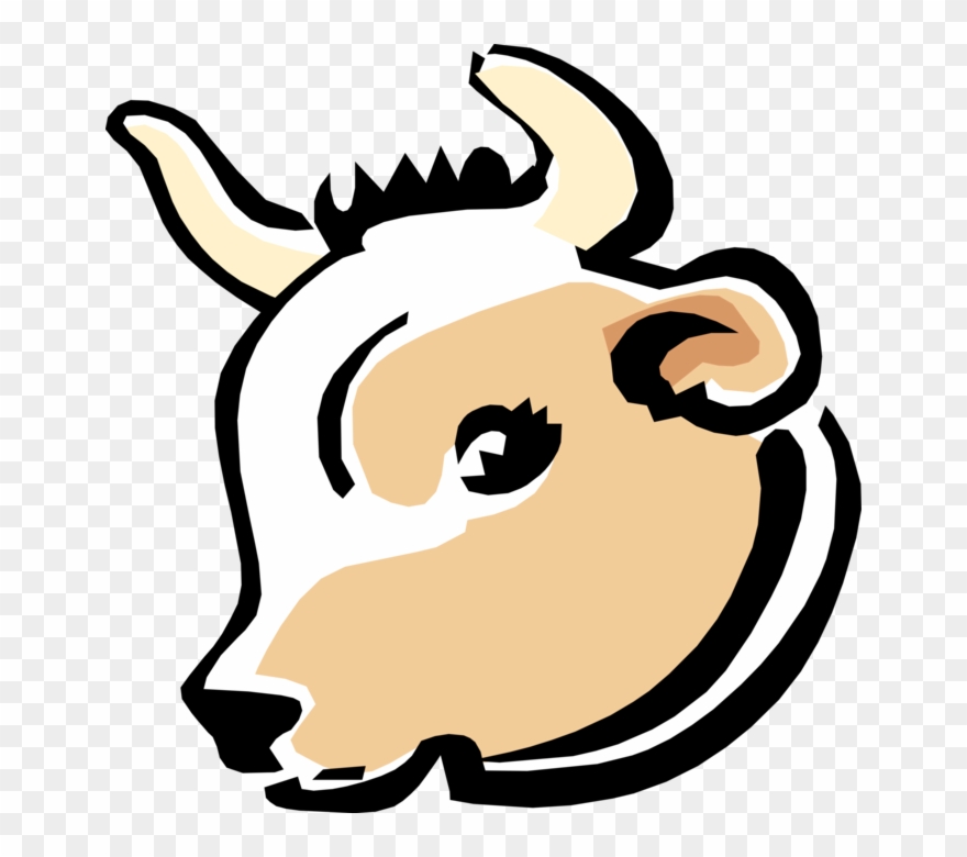 880x780 Beef Vector Livestock