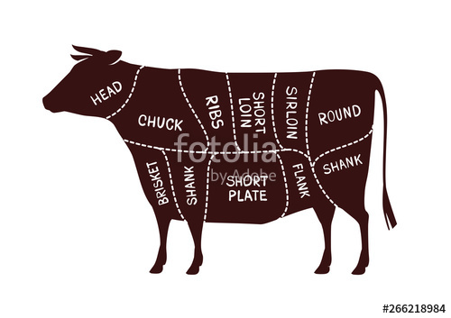 500x353 Cow Cutting Scheme Butcher Shop, Beef Vector Illustration Stock
