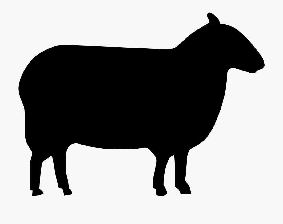 920x730 Beef Vector Gir Cow