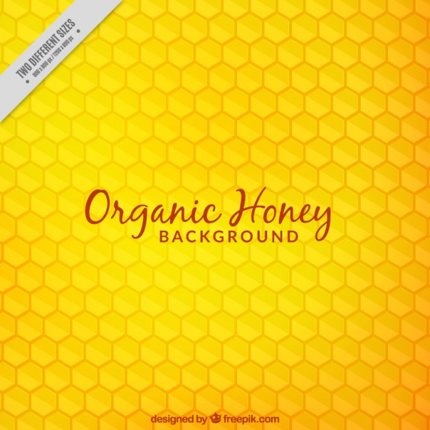 626x626 Honeycomb Vectors, Photos And Free Download